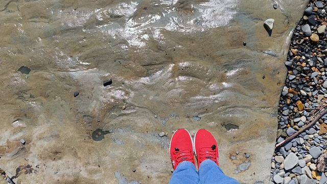 Море... Анапа. 14.04.2026