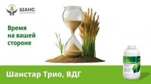 ШАНСТАР ТРИО, ВДГ| УНИКАЛЬНЫЙ ГЕРБИЦИД | ГК ШАНС