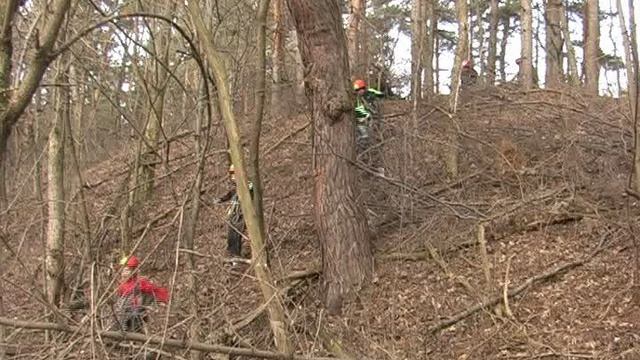 Здравствуй, Салют УТС 23-30.12.2011