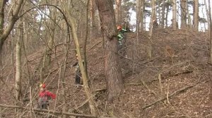 Здравствуй, Салют УТС 23-30.12.2011