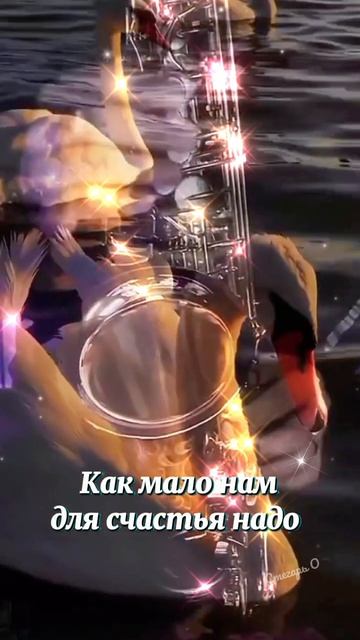 Доброй ночи