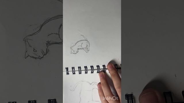 Видеоурок: как рисовать котёнка ?