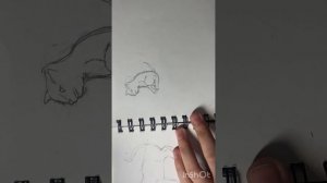 Видеоурок: как рисовать котёнка ?