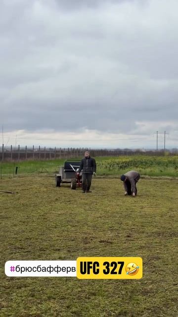 Бой Который Все Ждали Брюс Баффер #UFC327 #бои #работа #озеленение #мир #ёлки #туи #сад