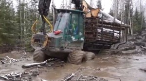 Трелёвочный трактор ФОРВАРДЕР, по лютому бездорожью и болоту.