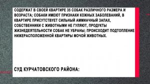 Собачьей мочой затопило квартиру: жильцы будут судиться с соседями, которые держат 35 псов