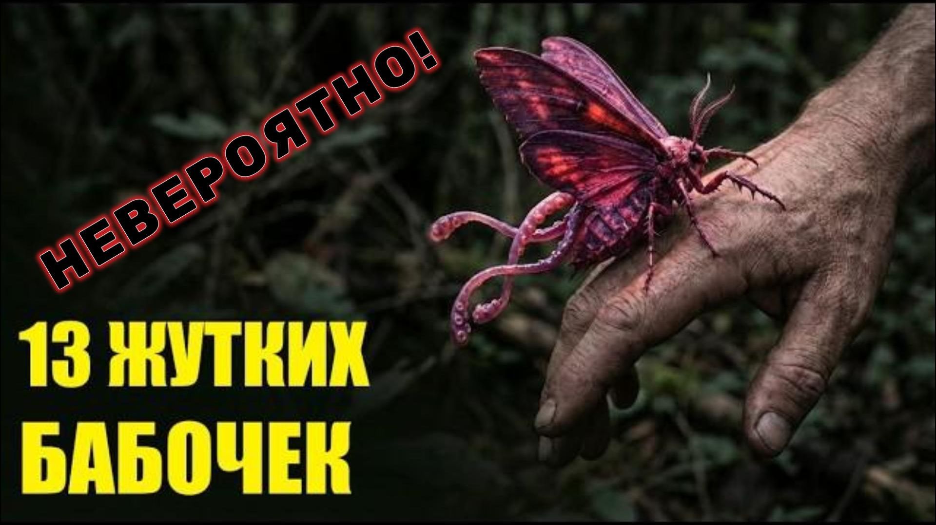 13 Самых Жутких Бабочек Планеты!