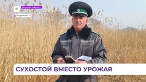 В Приморье нерадивых собственников сельхозземель законно наказывают