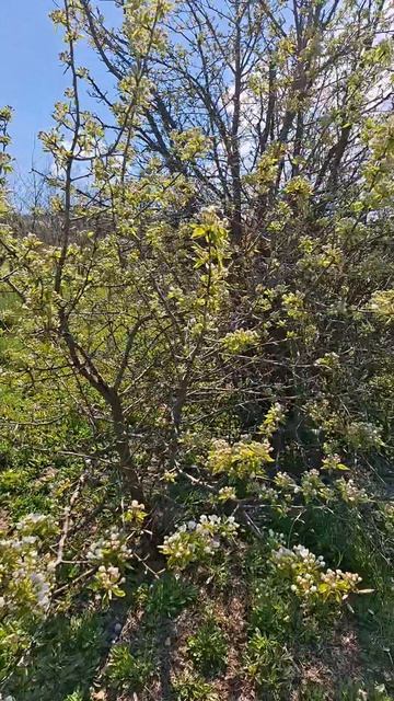 снт Залив, 8 соток