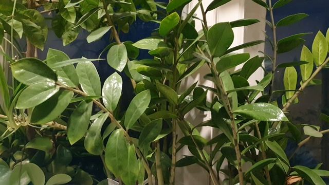 Грустно, но справедливо...