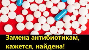 Замена антибиотикам, кажется, найдена!