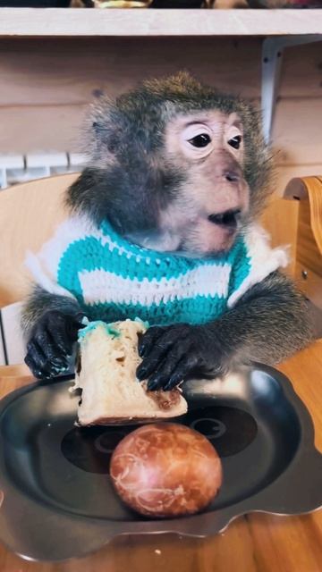 фрагменты Monkey Home смотреть онлайн