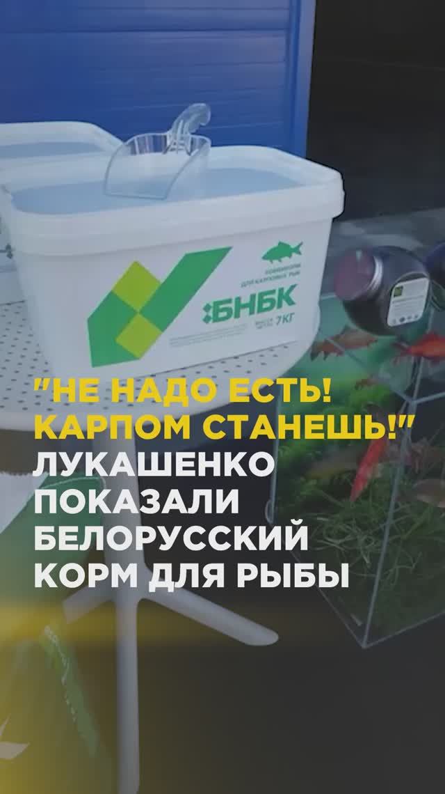 Лукашенко показали белорусский корм для рыбы