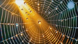 Релаксация, медитация, улучшение сна, снятие стресса, фон для работы и учебы, йога. ॐ🙏🧘♀️