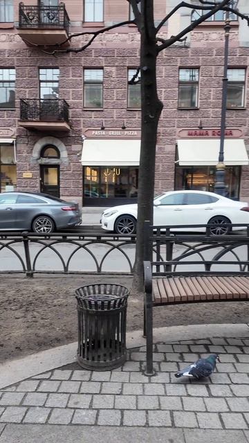 Проспект Чернышевского, Санкт-Петербург  #видеоспб  #видео_спрогулки