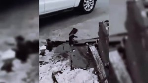 ПОЧЕМУ КИТАЙСКОЕ АВТО ФУФЛО ,ИЛИ НЕТ