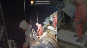 Выборка порядка на СТР  503 Краб готовка 2026 Смотреть Бесплатно всем незабеть подписаться