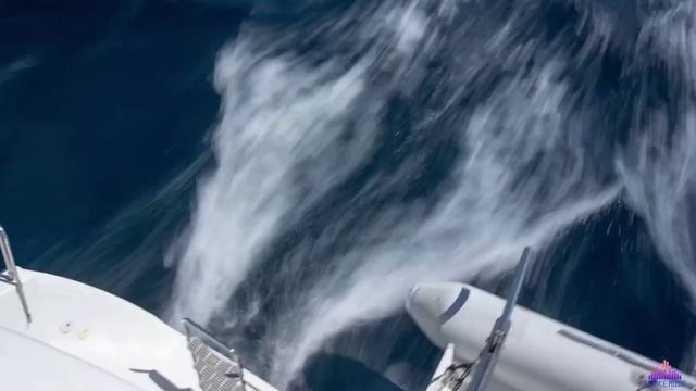 Грязные игры для взрослых. 18+. Эротика