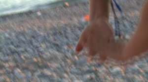 41)ЛАЗАРЕВСКОЕ ПЛЯЖ ДЕЛЬФИН(2014 ГОД)