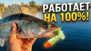 🔥 Рыбалка в Астрахани: Эта приманка работает на 100%! | Ловля на спиннинг