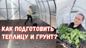 Как подготовить теплицу и грунт к высадке рассады, если были болезни?
