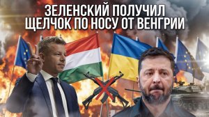 «Холодный душ для Киева»: Мадьяр победил Орбана, но не даст оружия и будет договариваться с Путиным