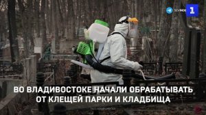 Во Владивостоке начали обрабатывать от клещей парки и кладбища