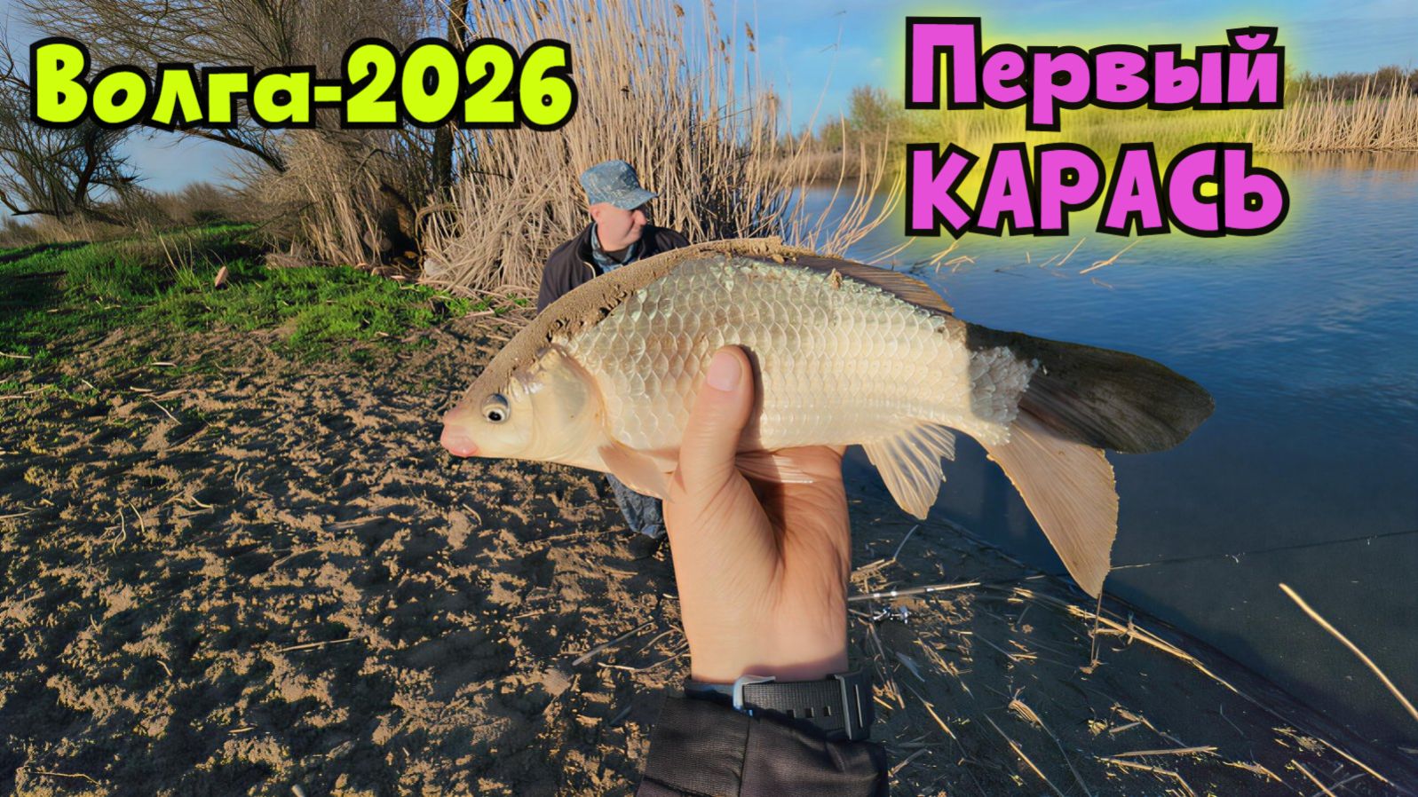 Поймал жырного КАРАСЯ на Волге! Рыбалка в апреле - 2026 !!  Михалыч в Астрахани !!!