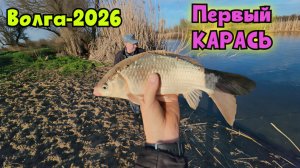 Поймал жырного КАРАСЯ на Волге! Рыбалка в апреле - 2026 !!  Михалыч в Астрахани !!!