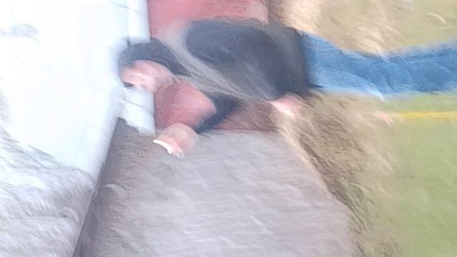 Пустили салют