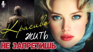 Жизненные истории | Возвращаясь ночь домой к голодным сыновьям, Алиса увидела | Истории из жизни