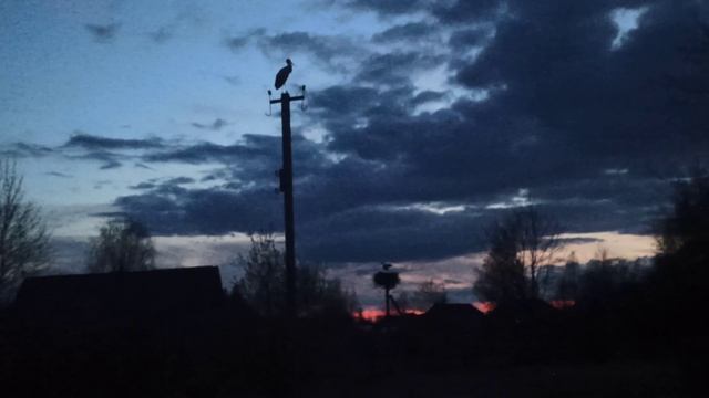 Влёсно ТВ аистячья ипотека 13.04.26.mp4