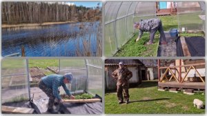 ВЕЧЕРОМ ПРОГУЛЯЛИСЬ К ОЗЕРУ, А С УТРА МЕЛКИЕ ДЕЛА.