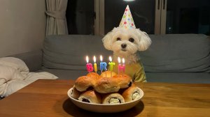 Мультики для детей. Яркие Мультики. Детские мультики смотреть