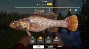 РОТАН ТРОФЕЙНЫЙ!!!КОМАРИНОЕ ОЗЕРО - РУССКАЯ РЫБАЛКА 4