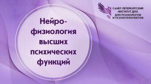 Нейрофизиология высших психических функций 13.04.2026