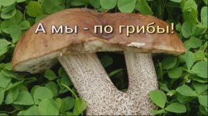 А мы   по грибы
