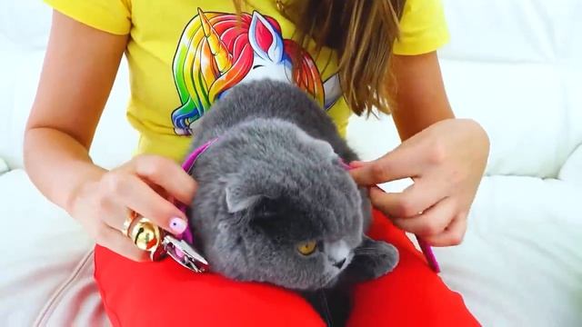 Ники и Крис - любимые истории с младшим братом