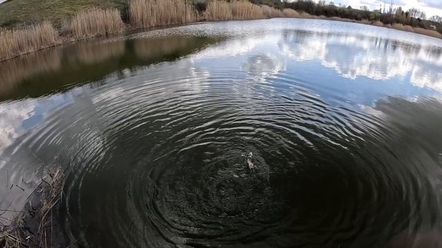 Pontoon 21 Crackjack 48F-MR