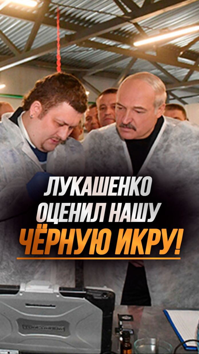 Реакция Лукашенко на белорусскую черную икру! // Как выращивают осётров? #shorts
