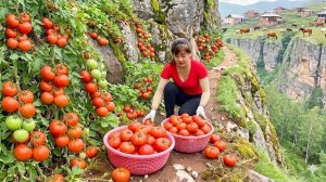 Собрала сочные помидоры и корни бамбука, чтобы продать на сельском рынке. Веду хозяйство. Нхат