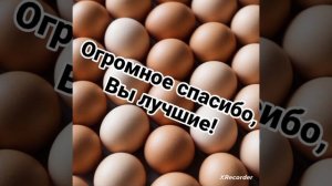 Видео в честь 35 подписчиков! Вы лучшие😁!