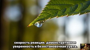 ОН ВЕРНЁТСЯ САМ — Сделай ЭТО и просто ЖДИ | Психология Юнга