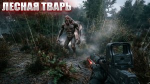 ЛЕСНАЯ ТВАРЬ (57) | СТАЛКЕР НАРОДНАЯ СОЛЯНКА OGSR 2026