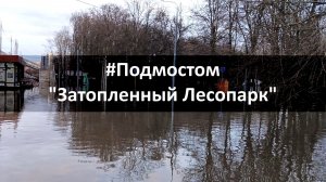 #Подмостом ,,Затопленный Лесопарк,, #Рязань #Лесопарк #Сапборд #Ока #Разлив