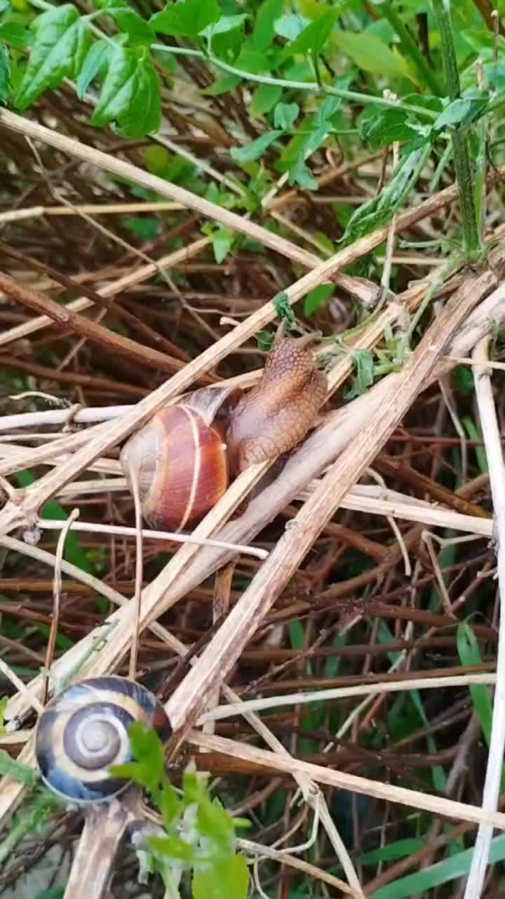 С каждым днём всё краше ☺