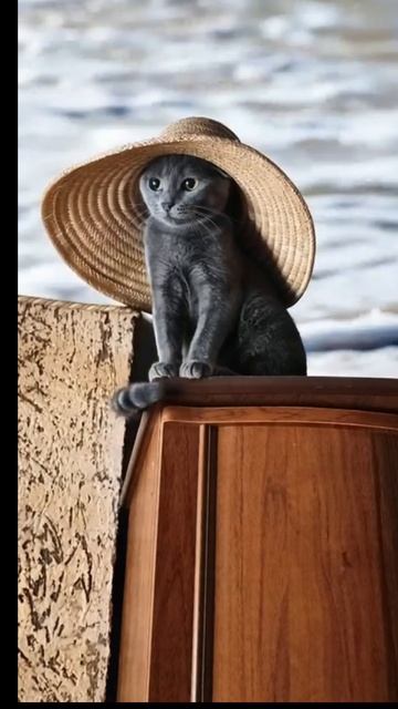 Мечты Асяндры