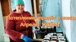 Готовлю ёмкости для пикировки цветов)) Холод на улице))