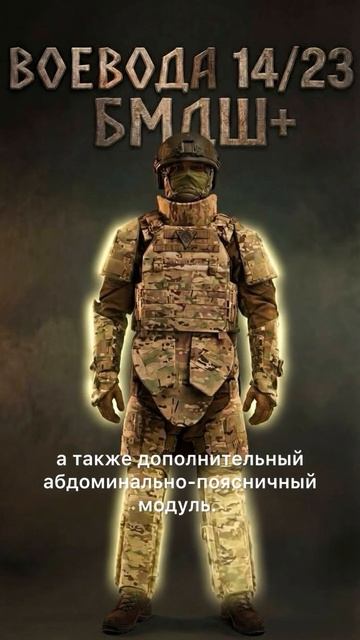 Бронежилет Воевода БМДШ Плюс