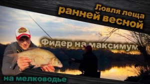 Ловля ЛЕЩА и ГУСТЕРЫ фидером на мелководье ранней весной. Возможно ли наловить много рыбы?